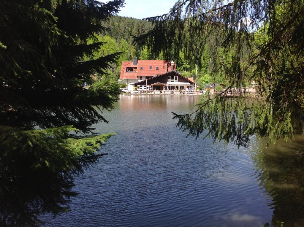 Self-Check-In Ferienwohnungen & Apartments Am Bergsee تيبرغ المظهر الخارجي الصورة