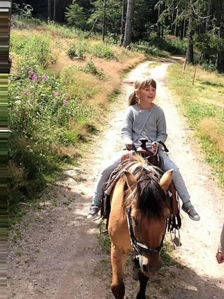 Self-Check-In Ferienwohnungen & Apartments Am Bergsee تيبرغ المظهر الخارجي الصورة